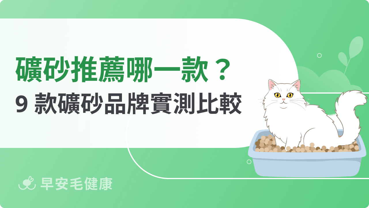 礦砂推薦指南:9 款低粉塵、高凝結力礦砂品牌實測比較