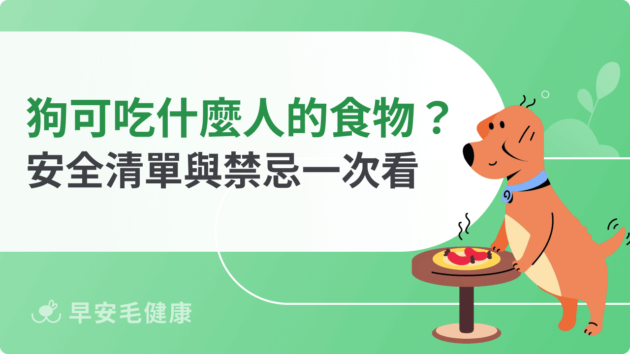 狗狗可以吃什麼人的食物?安全清單與禁忌一次看!