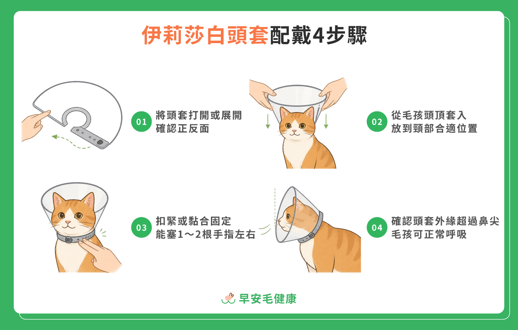 伊莉莎白頭套配戴4步驟