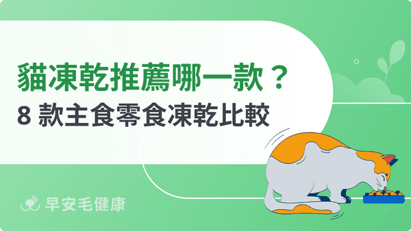 貓凍乾推薦｜2026 精選 8 款主食零食凍乾，專家觀點選購指南