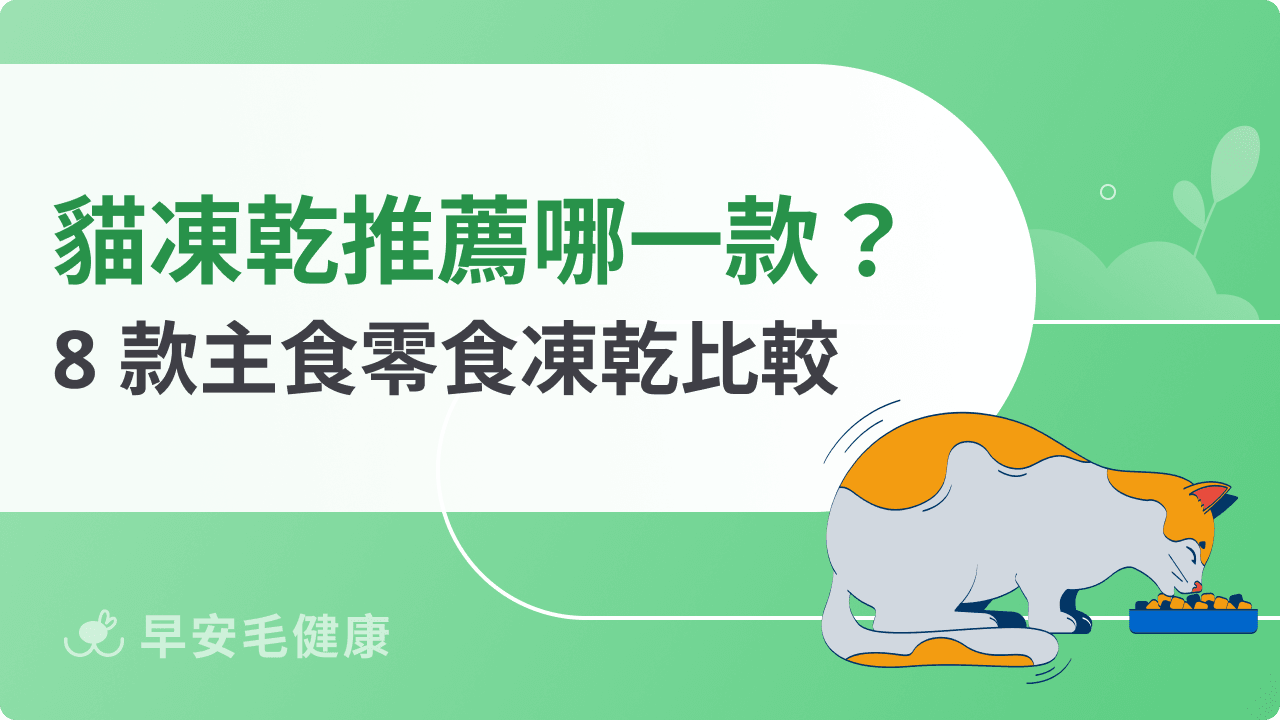 貓凍乾推薦|2026 精選 8 款主食零食凍乾,專家觀點選購指南