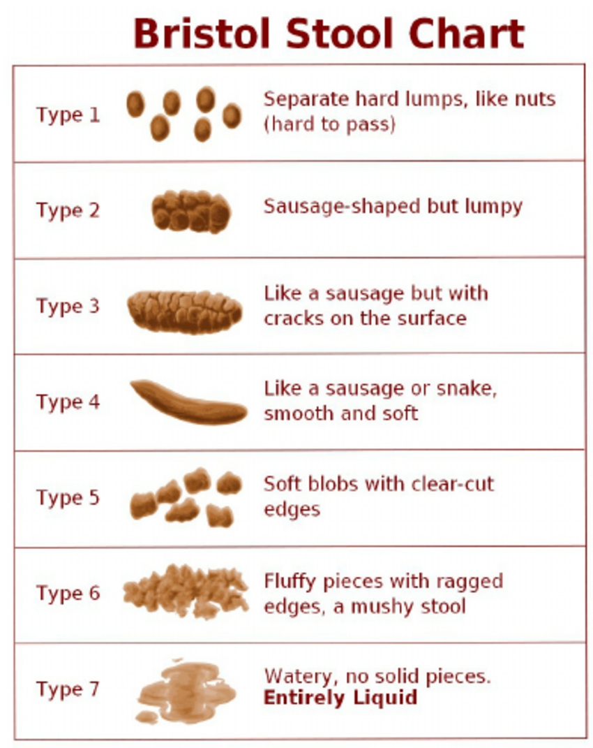 2.all-about-dog-poop-1